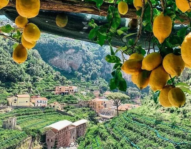La Valle Delle Ferriere Oda ve Kahvaltı Amalfi